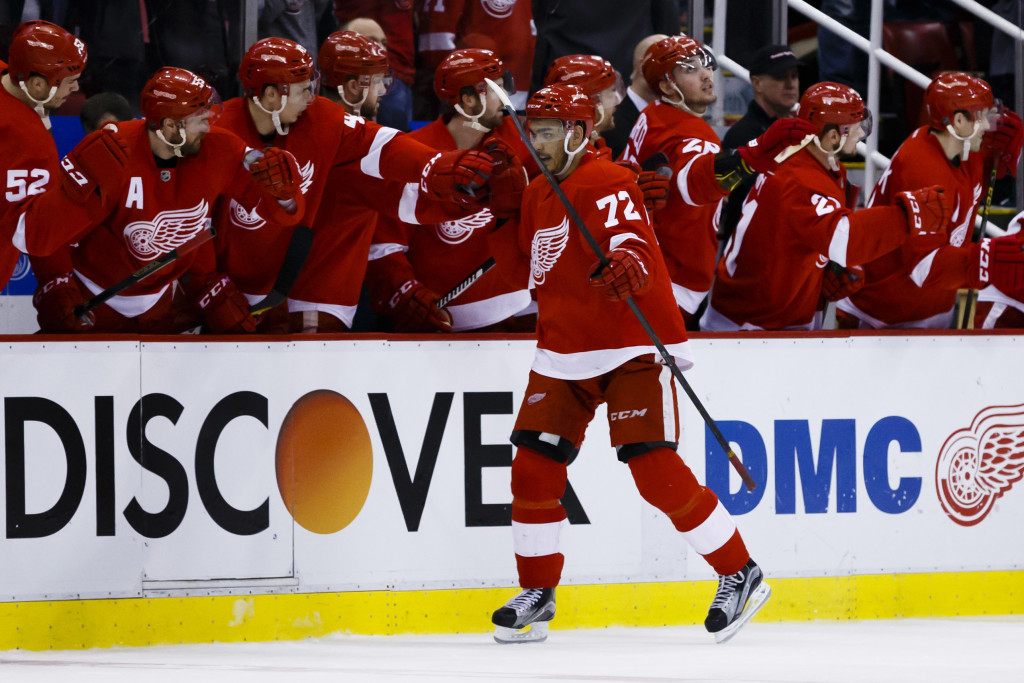 Detroit Red Wings To Start Season With Just 22 Players
