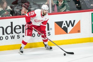 Feb 12, 2017; Saint Paul, MN, USA; Detroit Red Wings forward Riley Sheahan (15) during a game between the Minnesota Wild and Detroit Red Wings at Xcel Energy Center. The Wild defeated the Red Wings 6-3. Mandatory Credit: Brace Hemmelgarn-USA TODAY Sports