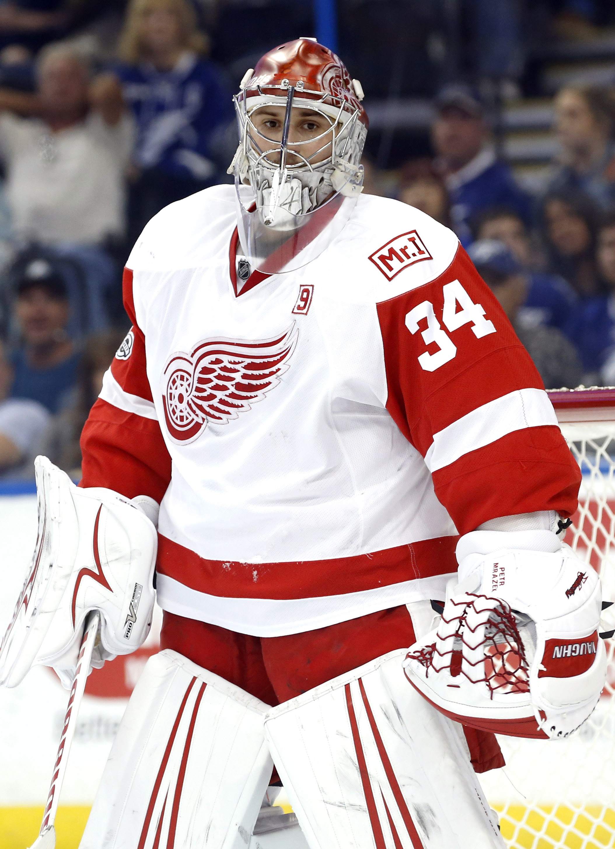 Petr Mrazek - Detroit Red Wings - 2016 NHL Stadium Series - Game-Worn  Jersey - Worn in First Period - NHL Auctions