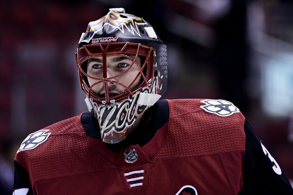 Tampa Bay Lightning Acquire Louis Domingue