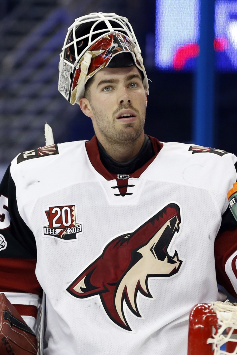 Tampa Bay Lightning Acquire Louis Domingue
