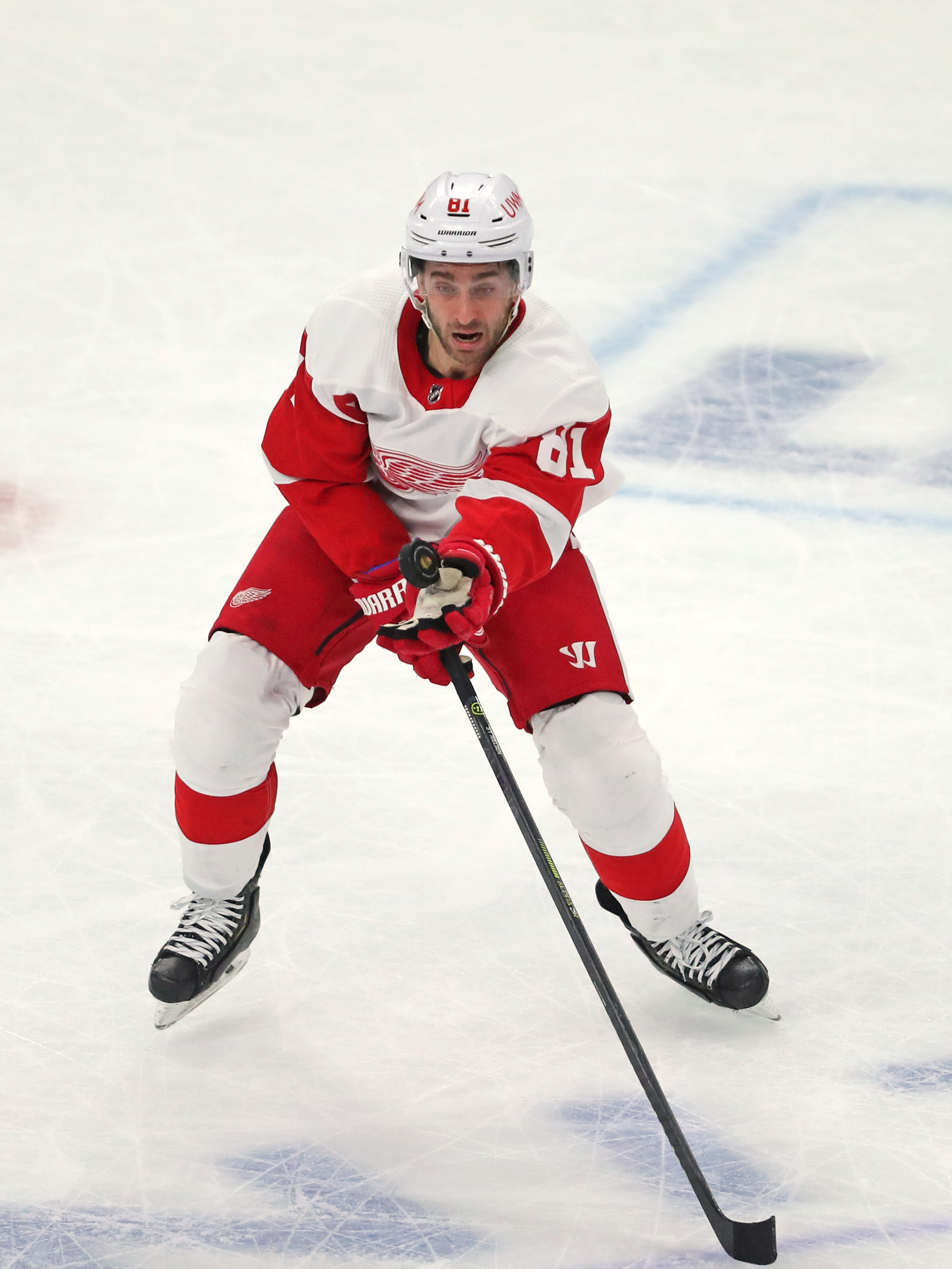Frans Nielsen is Red Wings' lone All-Star