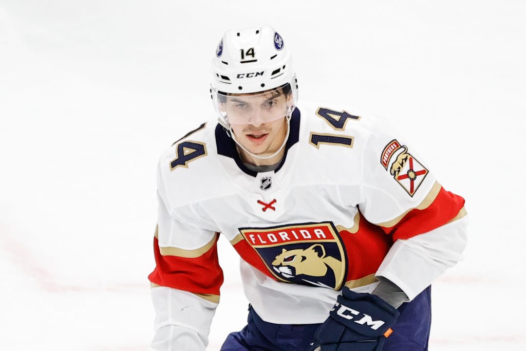 Florida Panthers Recall Grigori Denisenko