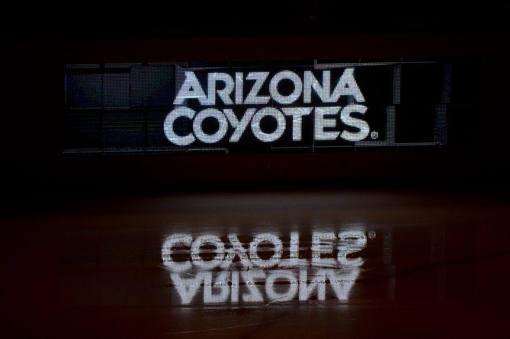 Arizona Coyotes Reassign Milos Kelemen