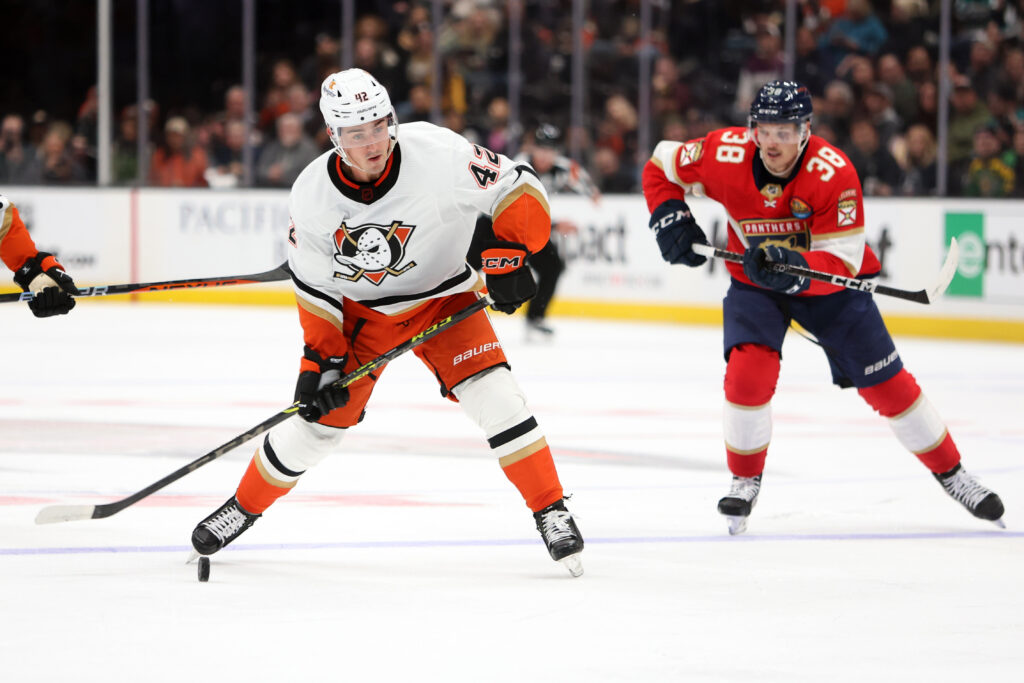 Anaheim Ducks Reassign Glenn Gawdin To AHL