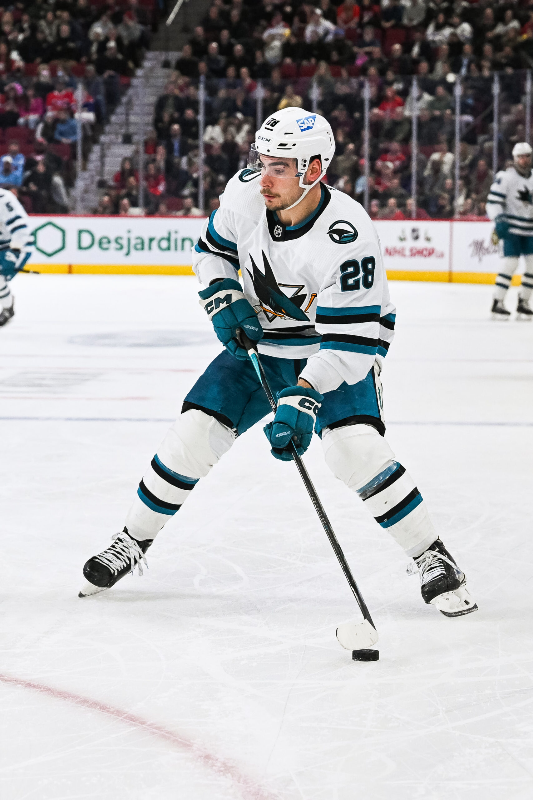 Timo Meier headed to the New Jersey Devils?