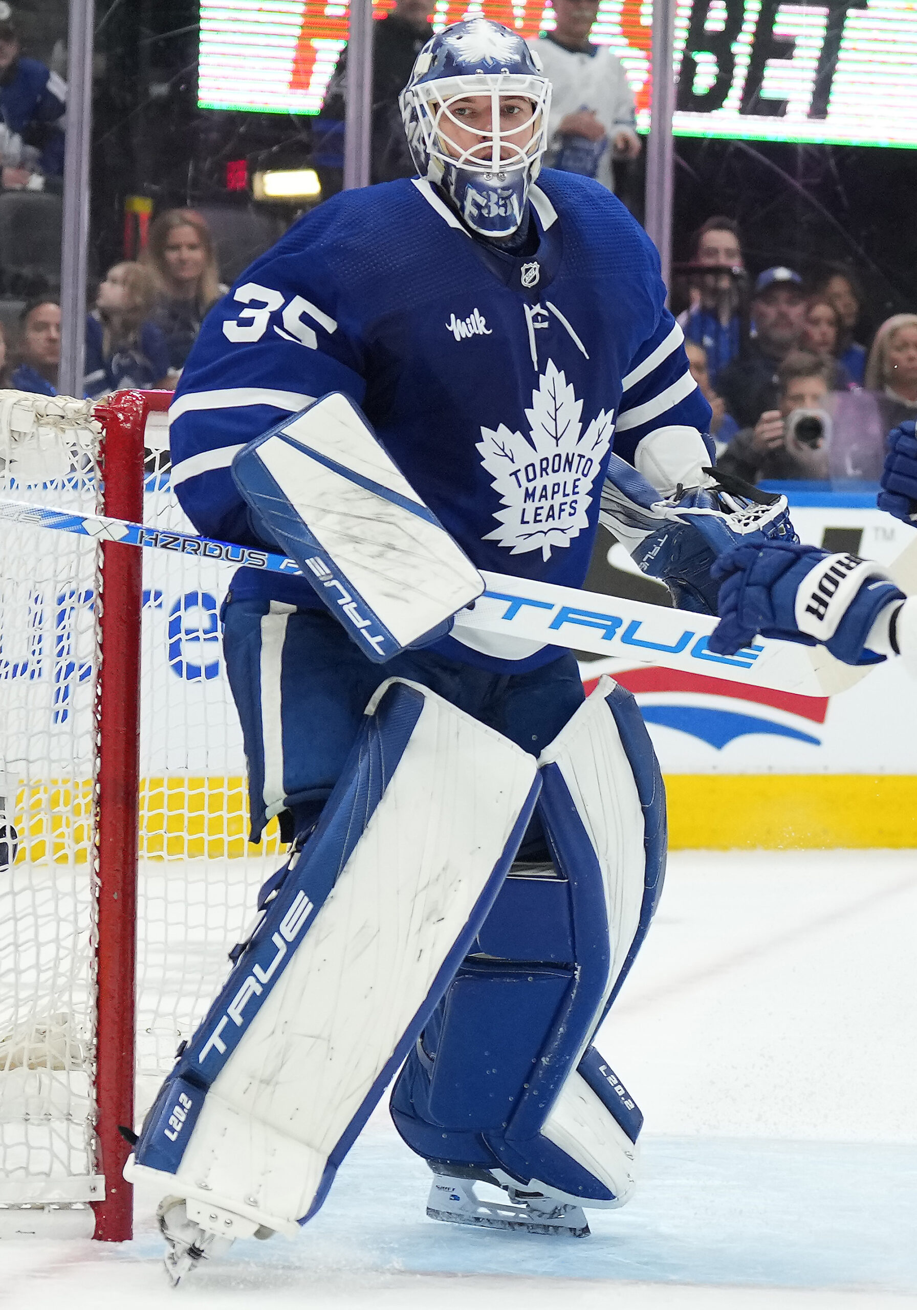 A Look Into the Toronto Maple Leafs' Goalie Options This Summer 