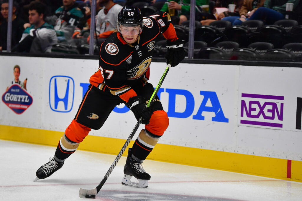 Ducks Recall Tristan Luneau