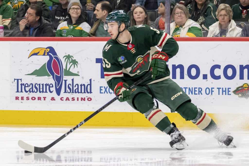 Minnesota Wild Reassign David Jiříček