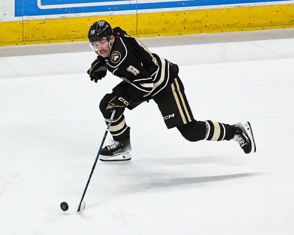 New York Islanders Near Deal to Sign Forward Pierrick Dube