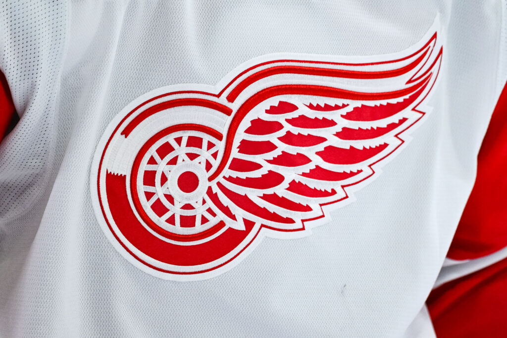 Red Wings Recall Michal Postava