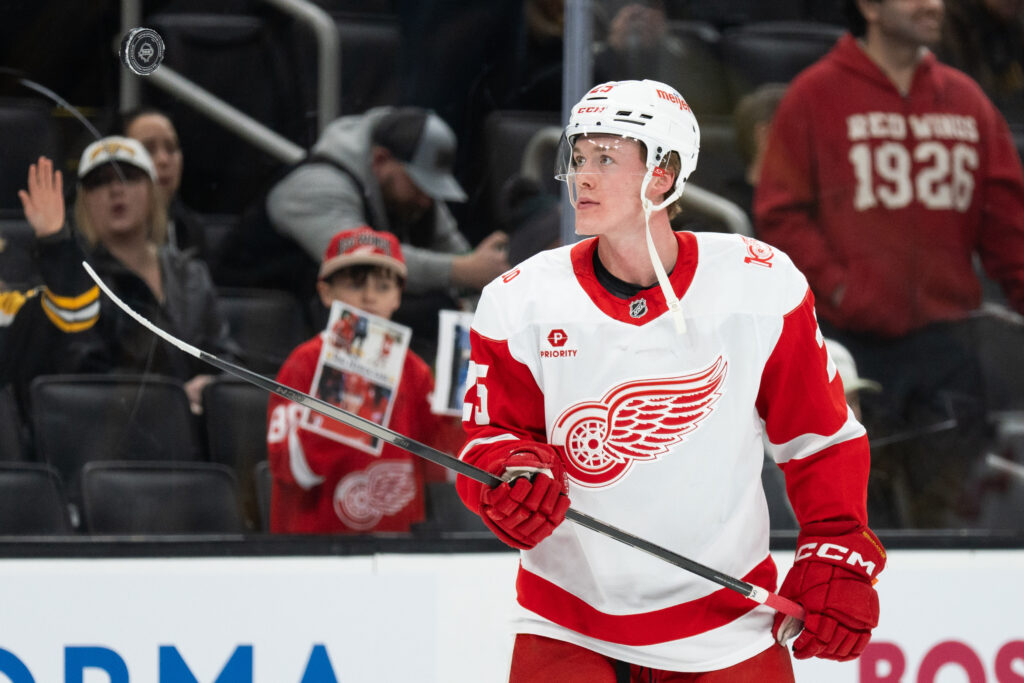 Red Wings Extend Jacob Bernard-Docker – Pro Hockey Rumors