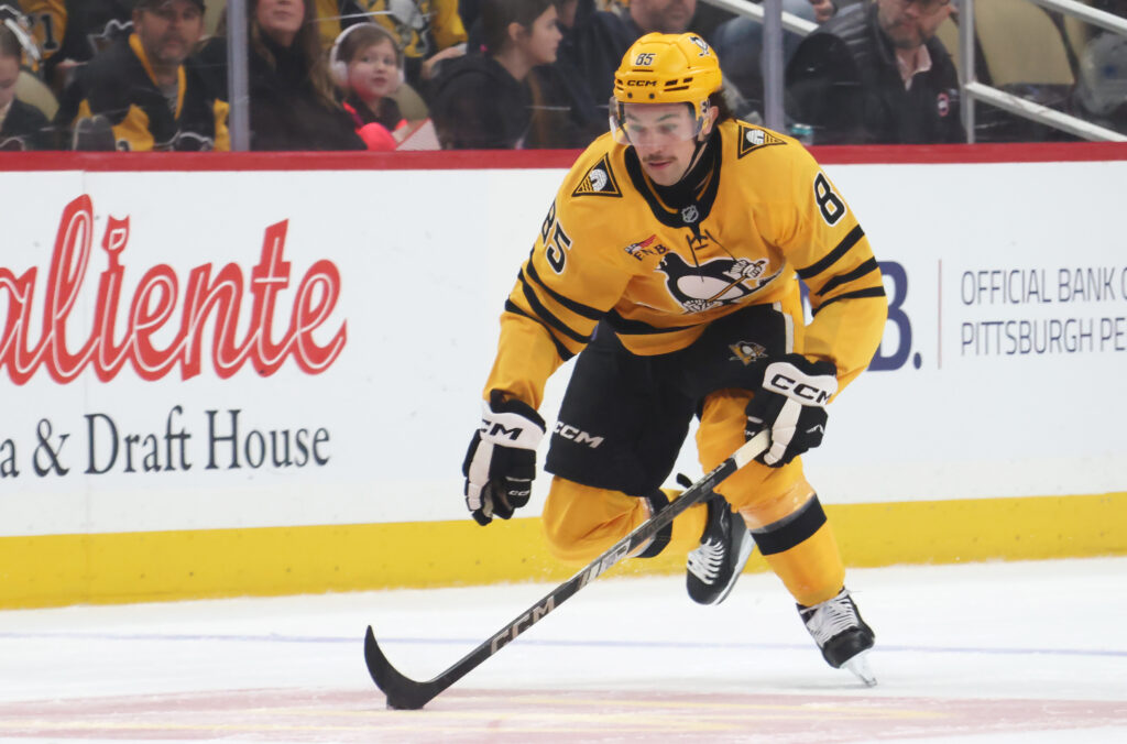 Penguins Recall Avery Hayes