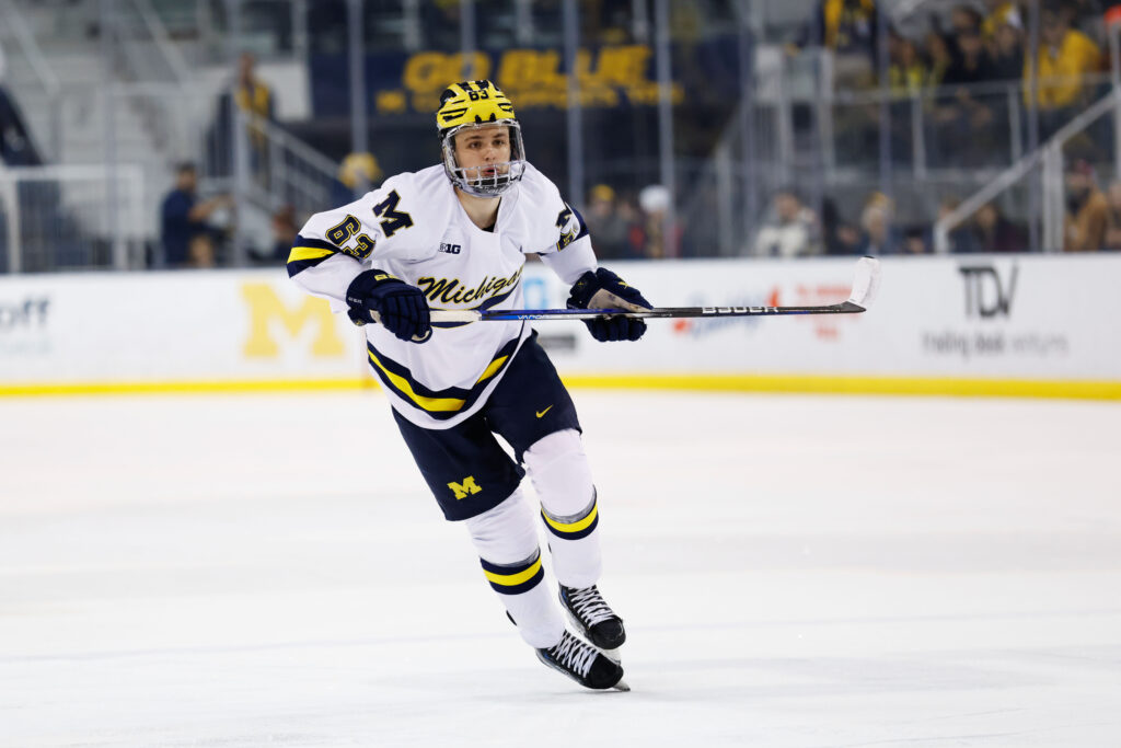 Checkers Sign Luca Fantilli, Three Others To AHL Contracts